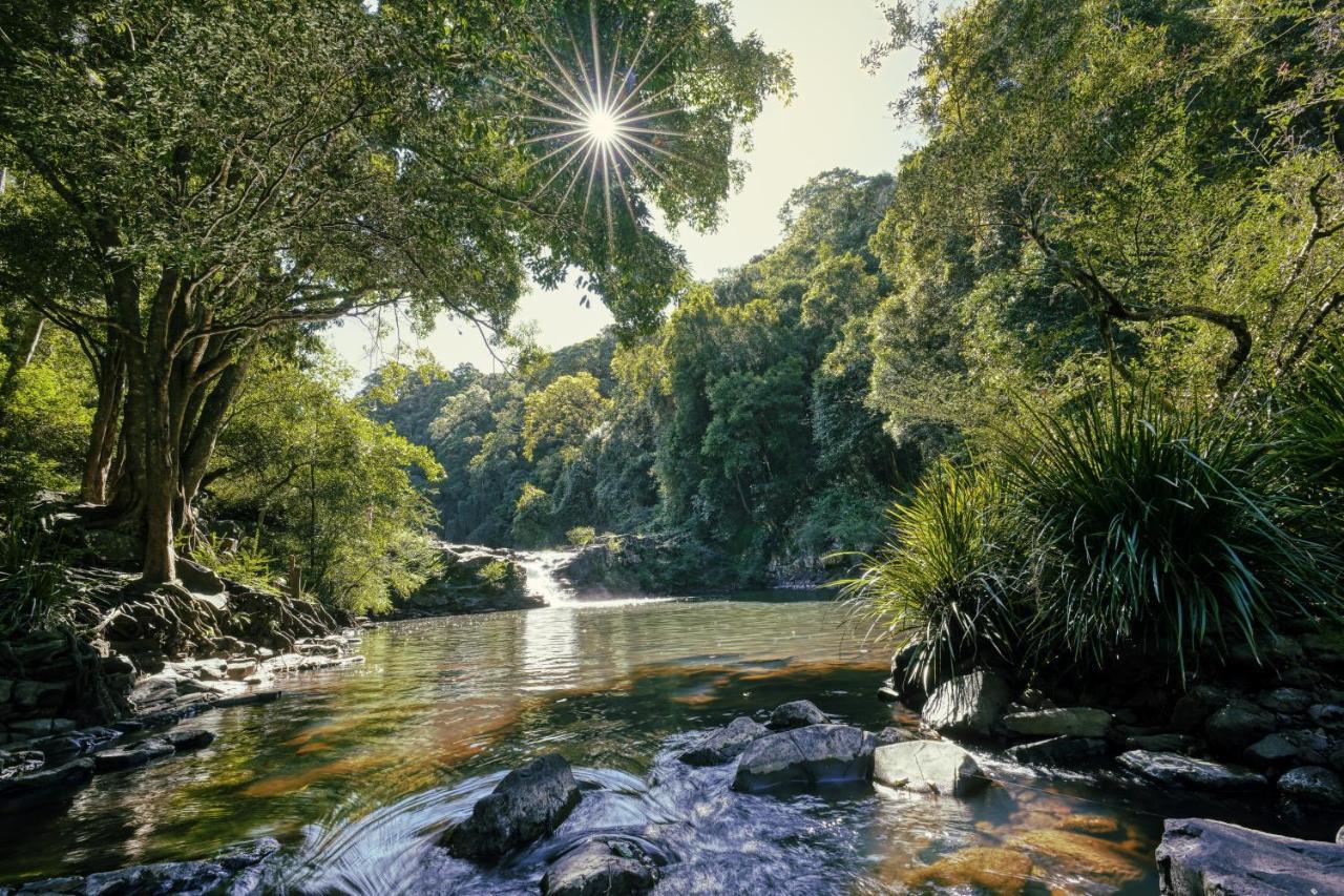 מונטוויל Narrows Escape Rainforest Retreat מראה חיצוני תמונה