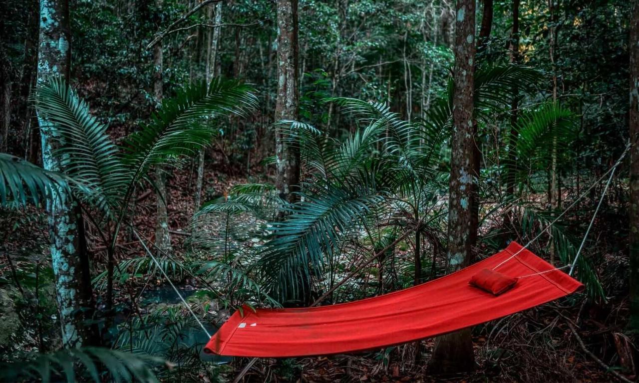 מונטוויל Narrows Escape Rainforest Retreat מראה חיצוני תמונה