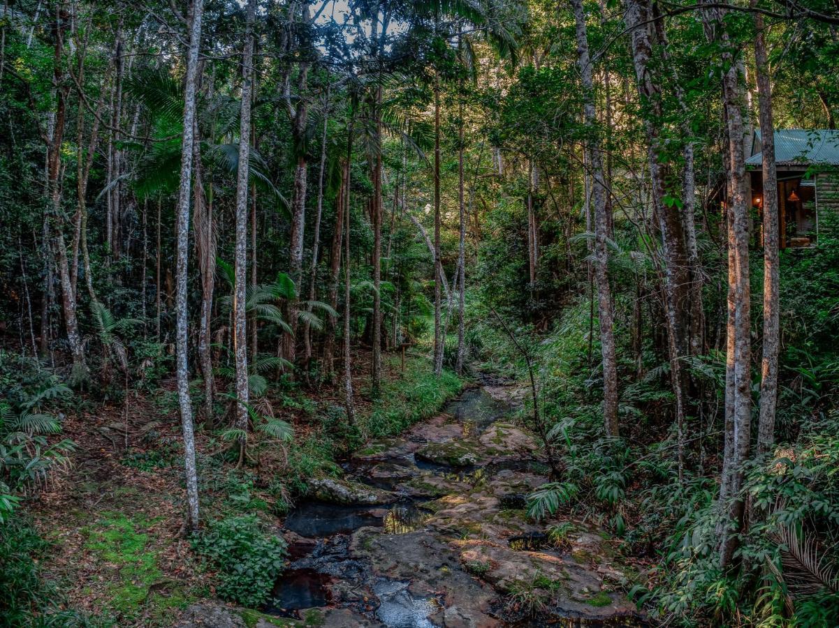 מונטוויל Narrows Escape Rainforest Retreat מראה חיצוני תמונה