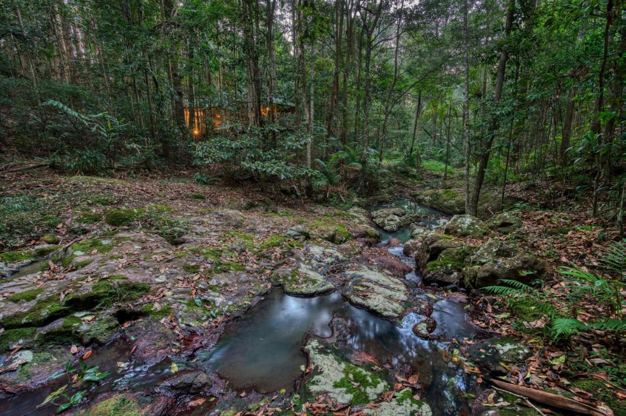 מונטוויל Narrows Escape Rainforest Retreat מראה חיצוני תמונה