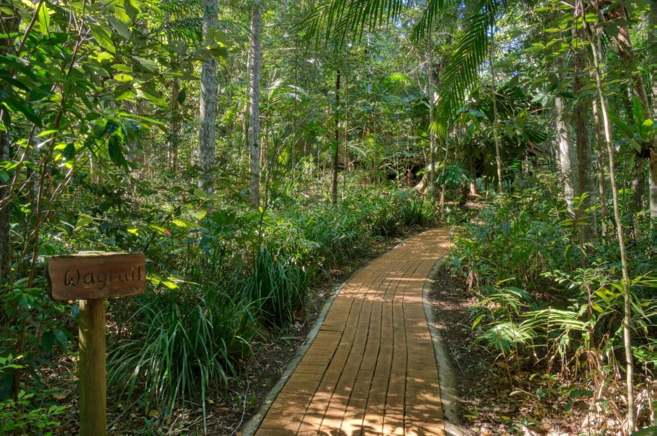 מונטוויל Narrows Escape Rainforest Retreat מראה חיצוני תמונה