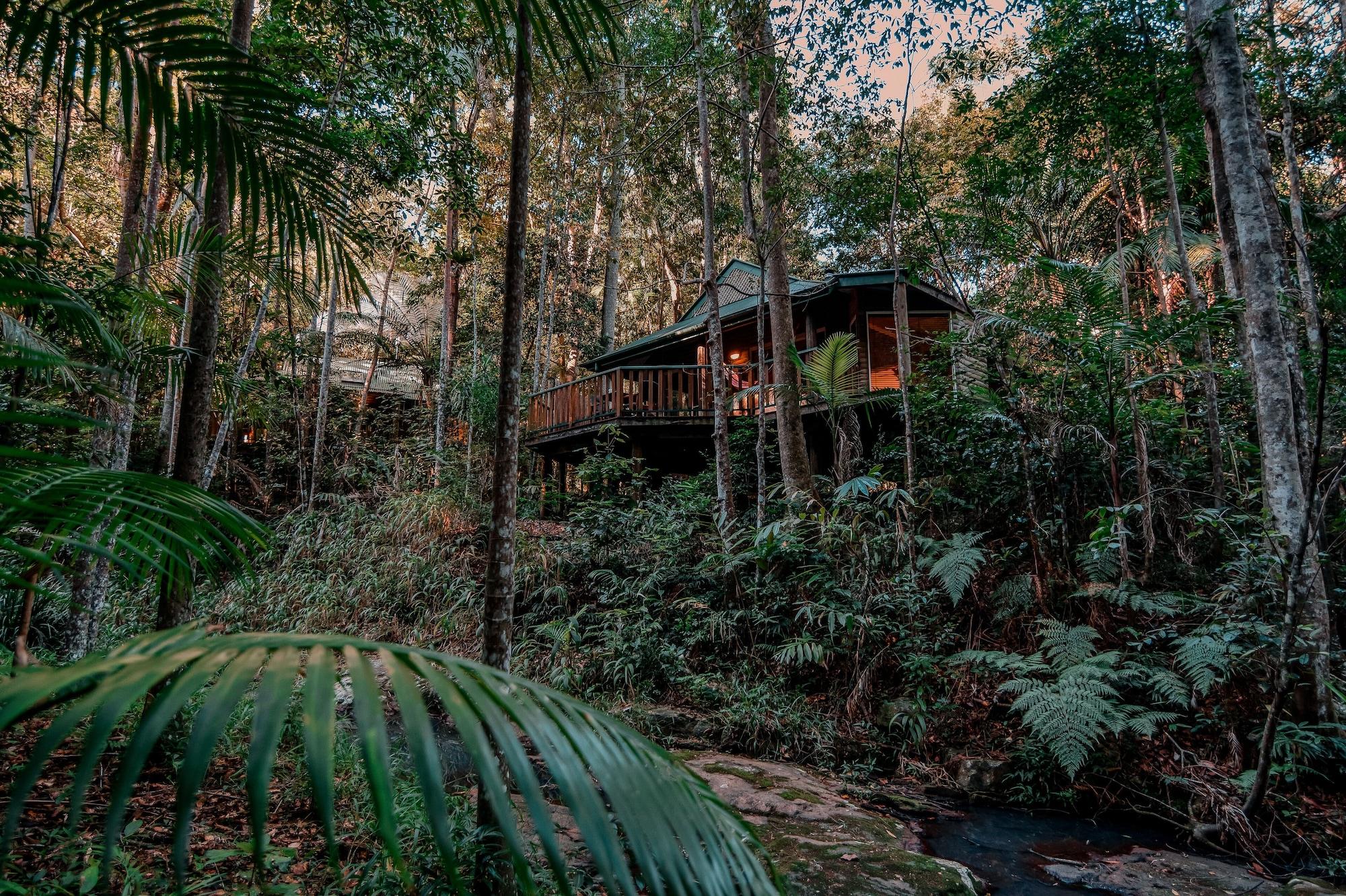 מונטוויל Narrows Escape Rainforest Retreat מראה חיצוני תמונה