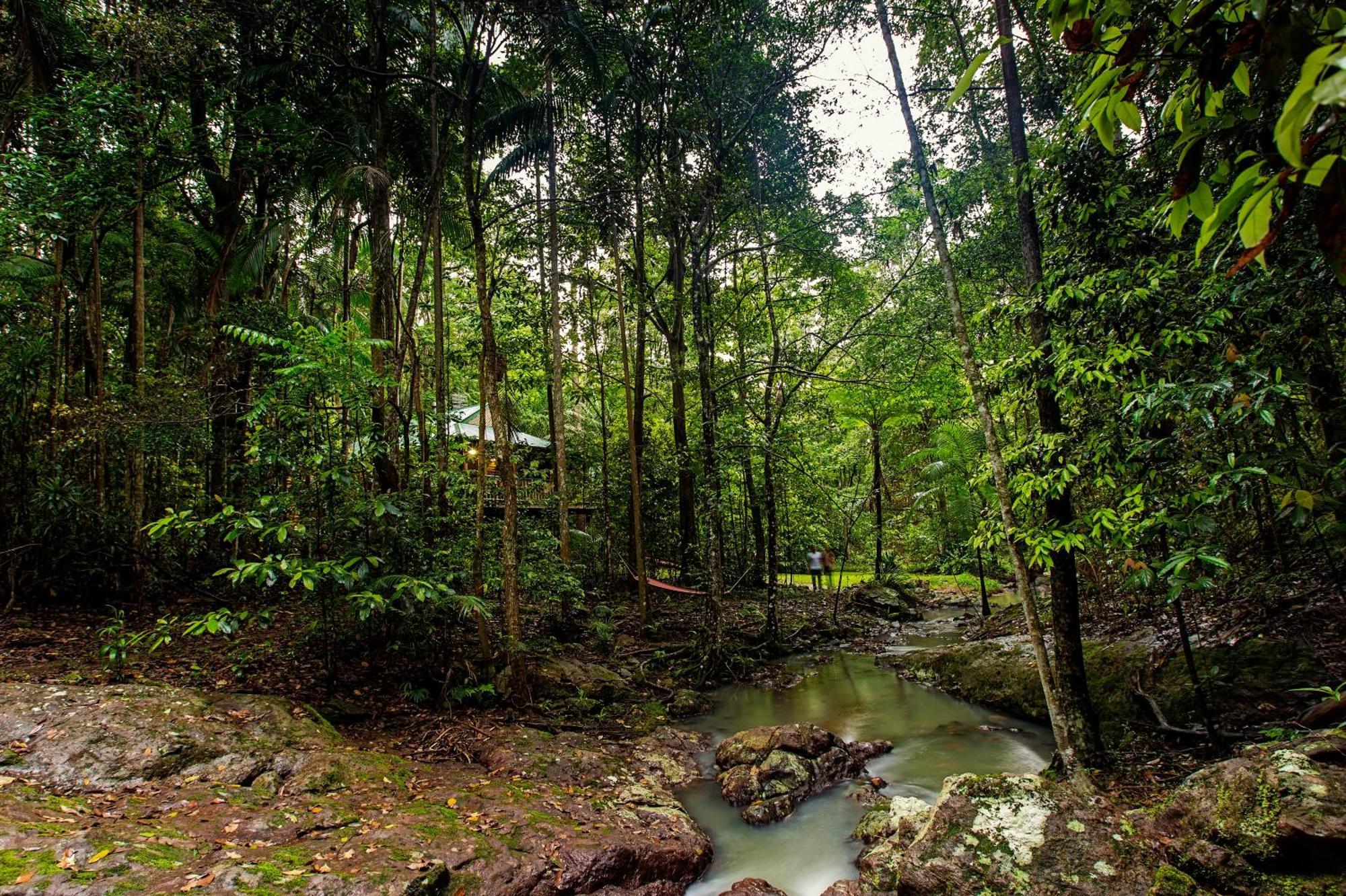 מונטוויל Narrows Escape Rainforest Retreat מראה חיצוני תמונה