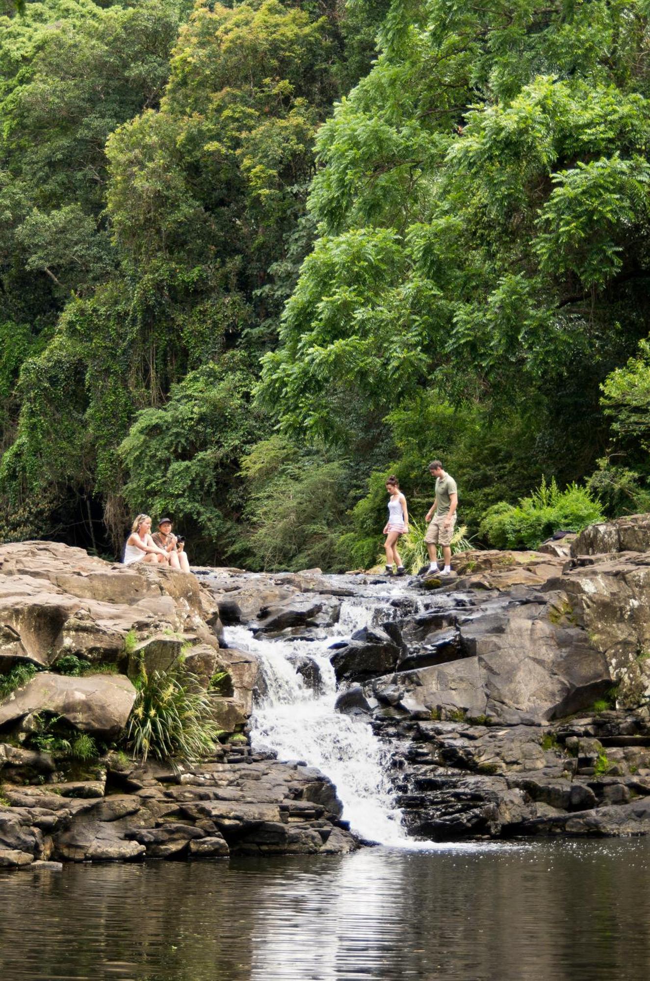 מונטוויל Narrows Escape Rainforest Retreat מראה חיצוני תמונה