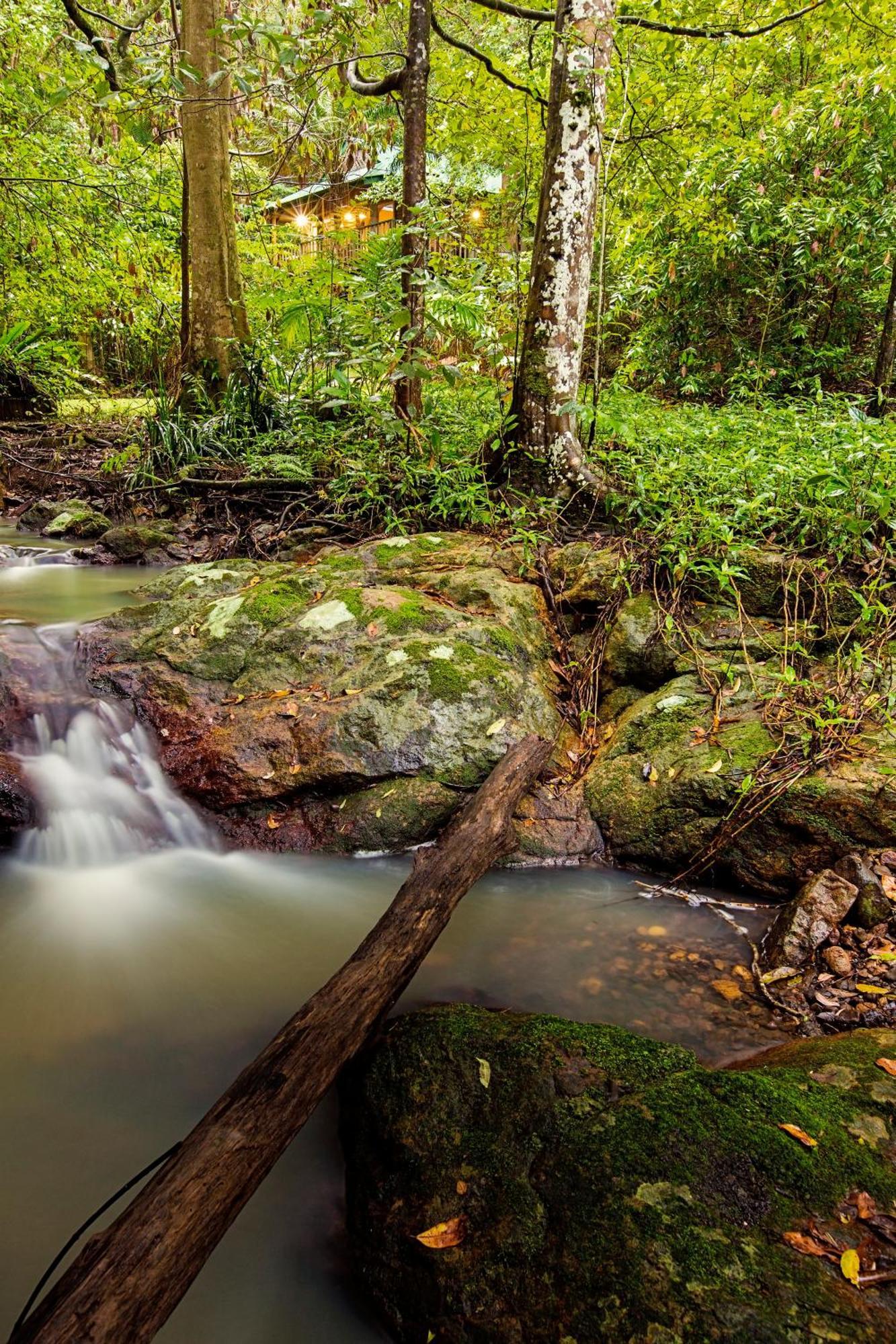 מונטוויל Narrows Escape Rainforest Retreat מראה חיצוני תמונה
