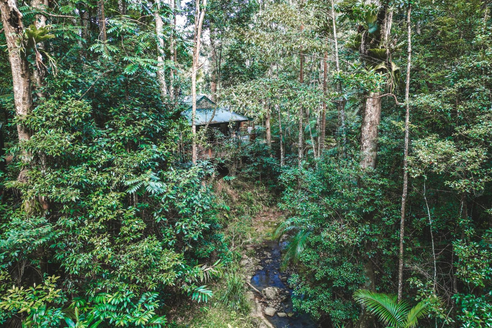 מונטוויל Narrows Escape Rainforest Retreat מראה חיצוני תמונה