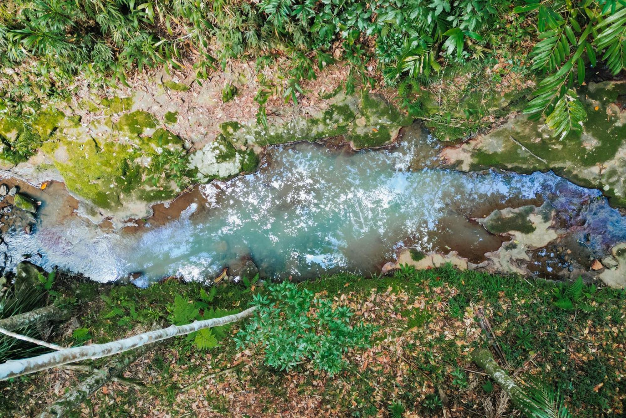 מונטוויל Narrows Escape Rainforest Retreat מראה חיצוני תמונה